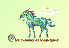 logo Les Chevaux de Roqupine