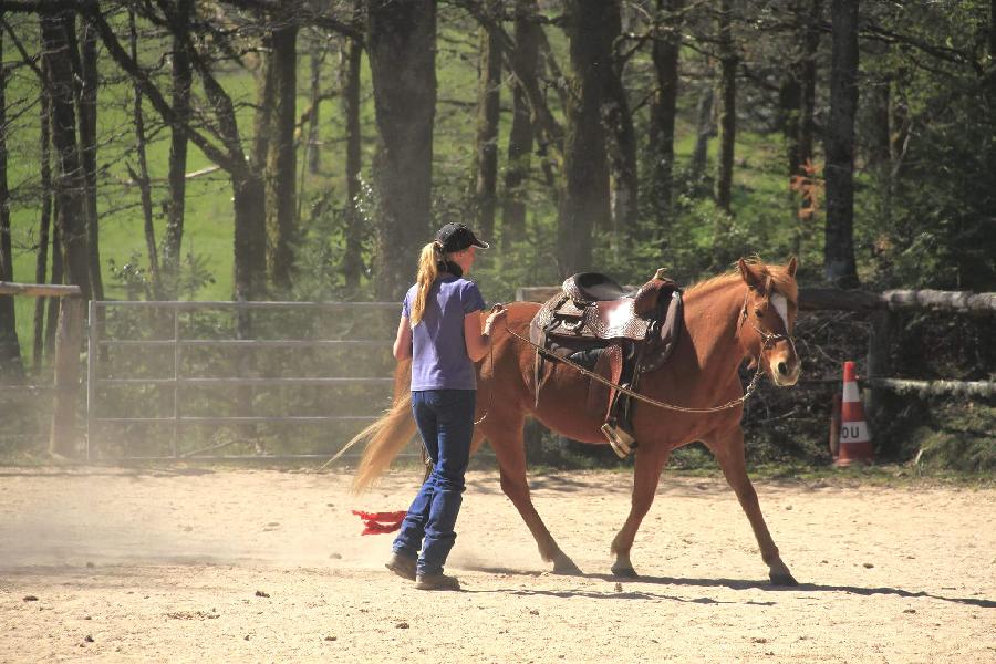 pension cheval  Chaumeil Corrze PNR de Millevaches en Limousin