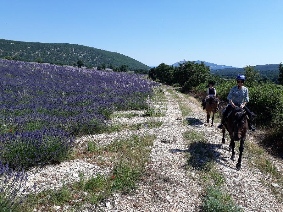 Sjour questre Alpes de Haute-Provence Provence photo 2