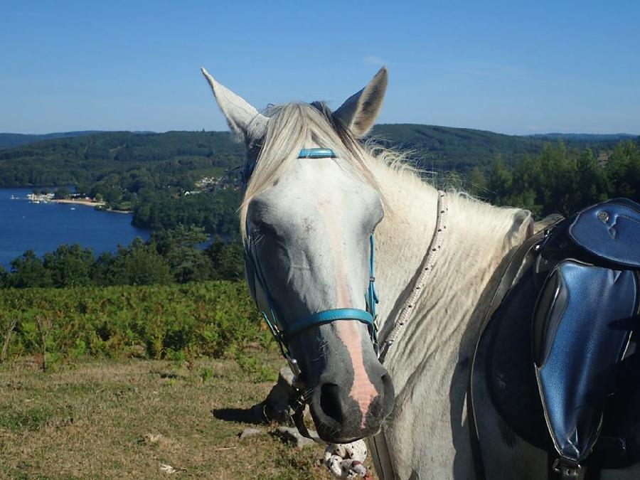 Balade  cheval Haute-Vienne Limousin photo 2