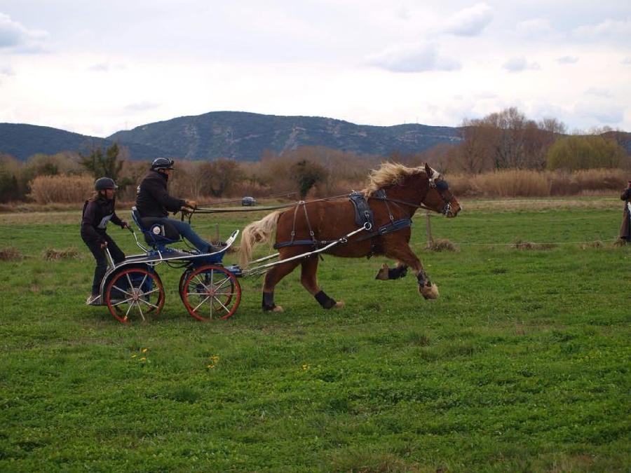Balade  cheval Alpes de Haute-Provence  photo 4
