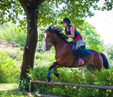 Centre Equestre La Fenire  <em>04190 Les Mes</em> Alpes de Haute-Provence
