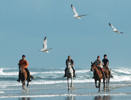 Centre questre Marina  <em>40200 Mimizan</em> Landes