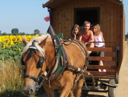 Che'Val d'Amour  <em>39600 cleux</em> Jura