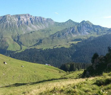 Alpes quitation  <em>74110 Morzine</em> Haute-Savoie