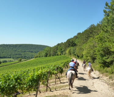 Mountain Farm  <em>21220 Morey-Saint-Denis</em> Cte-dOr