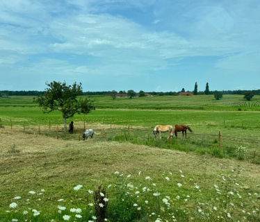 Domaine de la Sane  <em>71470 Montpont-en-Bresse</em> Sane-et-Loire