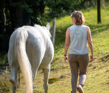 Au galop vers Soi  <em>88230 Plainfaing</em> Vosges