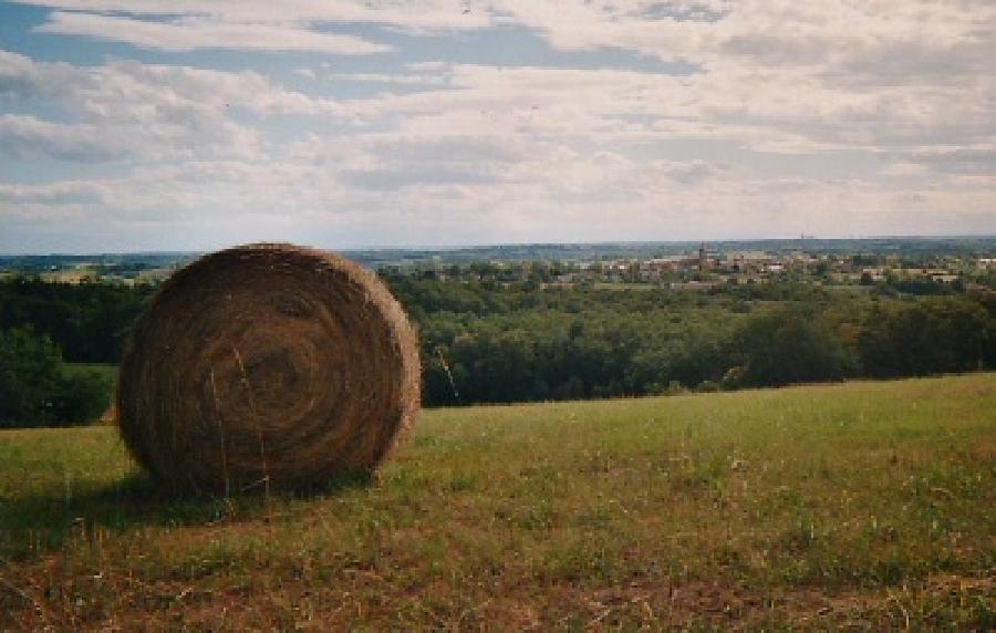 Voyage  cheval Gers  photo 2
