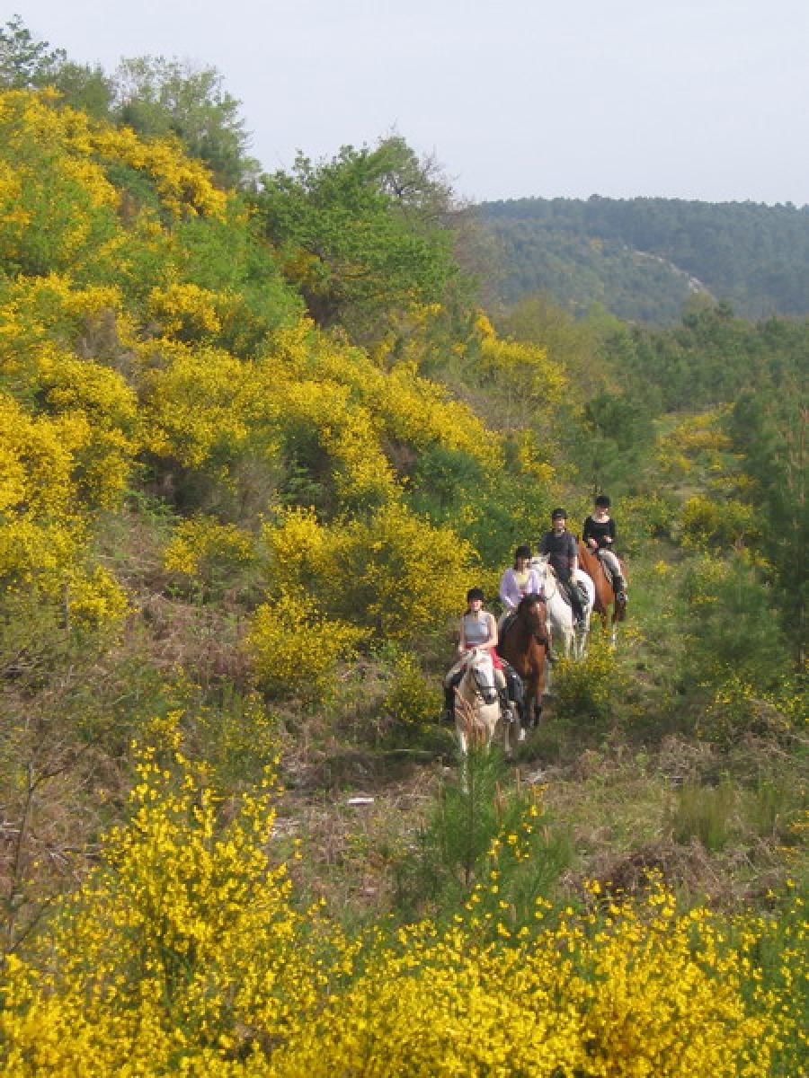 Stage quitation Landes Bordelais photo 2