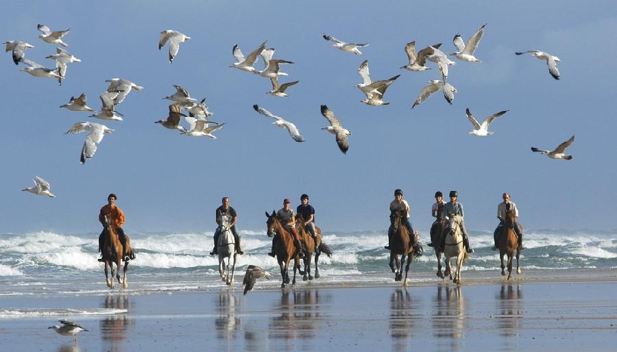 Sjour questre Landes Cte Atlantique Landaise