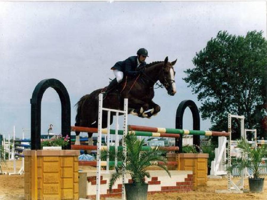 Etalon Cheval Origine constate  Tarascon dans les Bouches-du-Rhne