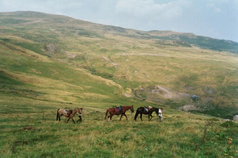 Randonne questre Cantal Limousin