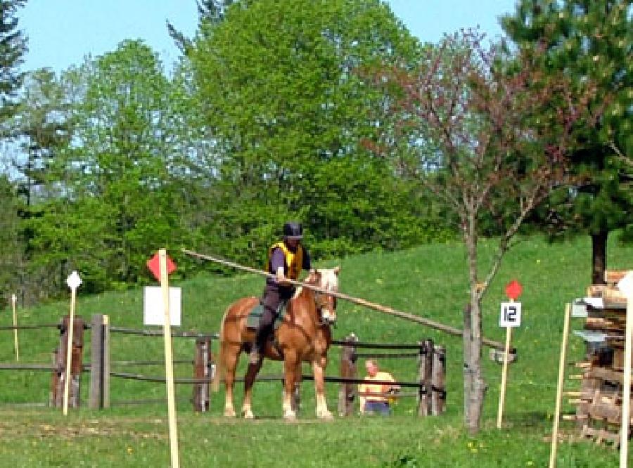 Stage quitation   photo 2