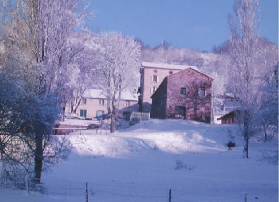Randonnée équestre