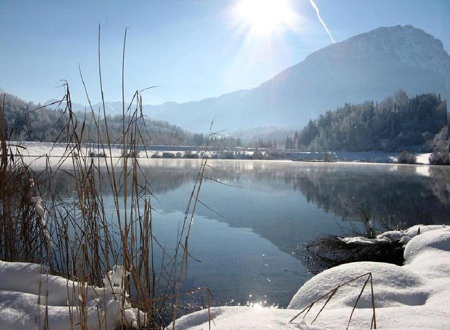 Randonne questre Savoie PNR du Massif des Bauges