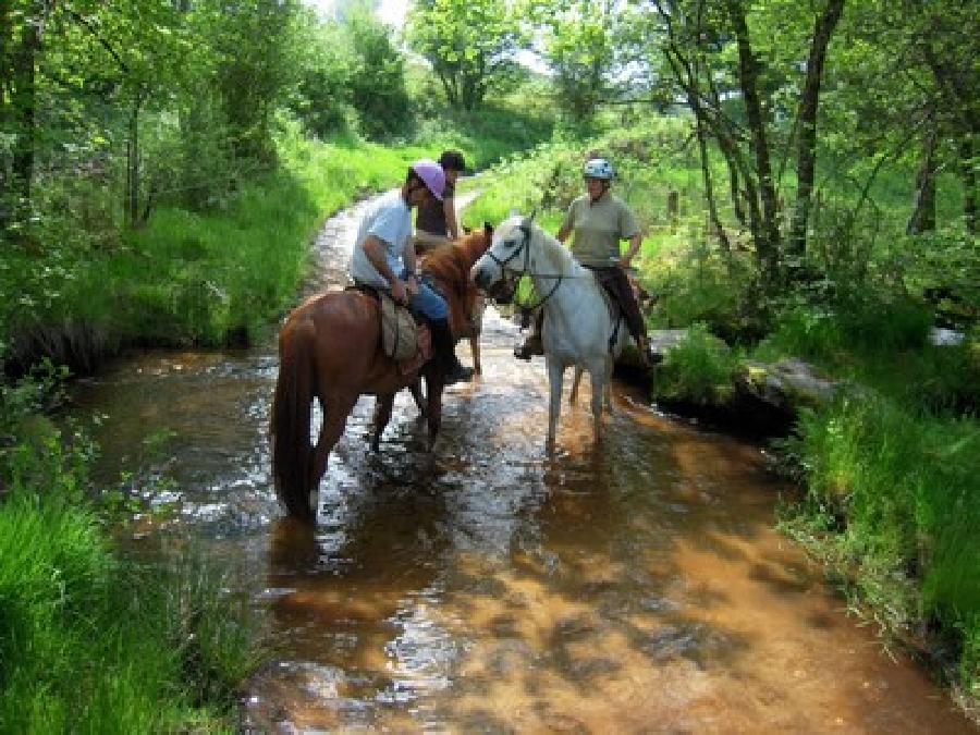 Randonne questre Haute-Vienne Limousin photo 2