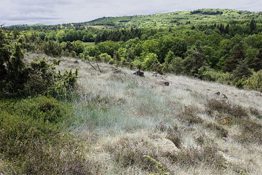 Randonne questre Haute-Vienne Limousin photo 2