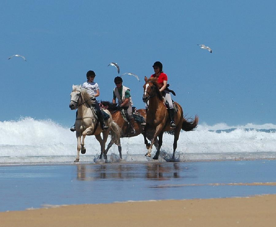 Randonne questre Landes Bordelais