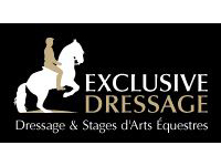 logo Exclusive Dressage