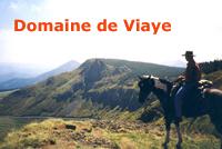 logo Domaine de Viaye  Daniel BOUDON 