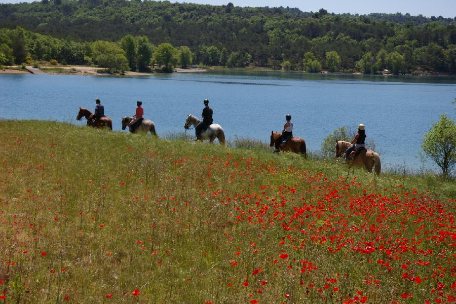 Randonne questre Var PNR du Verdon photo 3