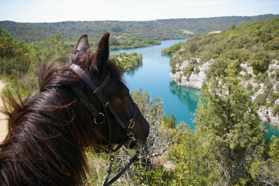 Randonne questre Var PNR du Verdon photo 1