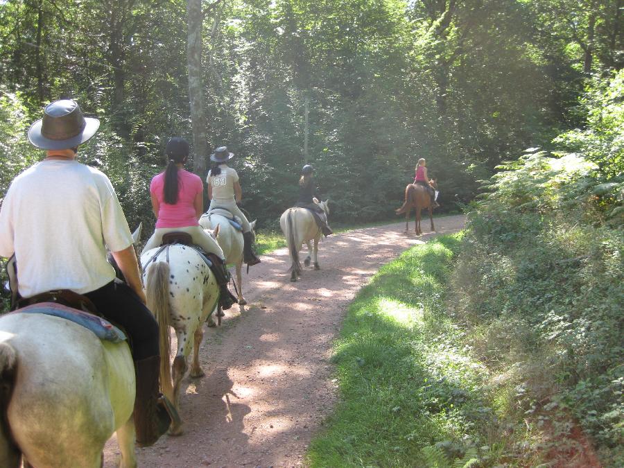 Randonne questre Sane-et-Loire Bourgogne du Sud photo 3