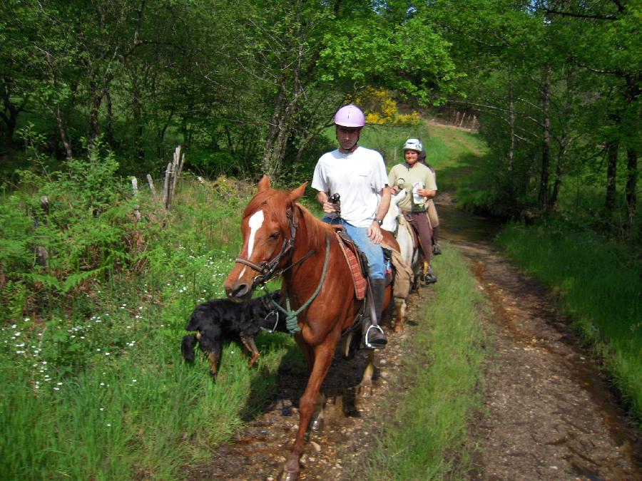 randonnee cheval haute vienne