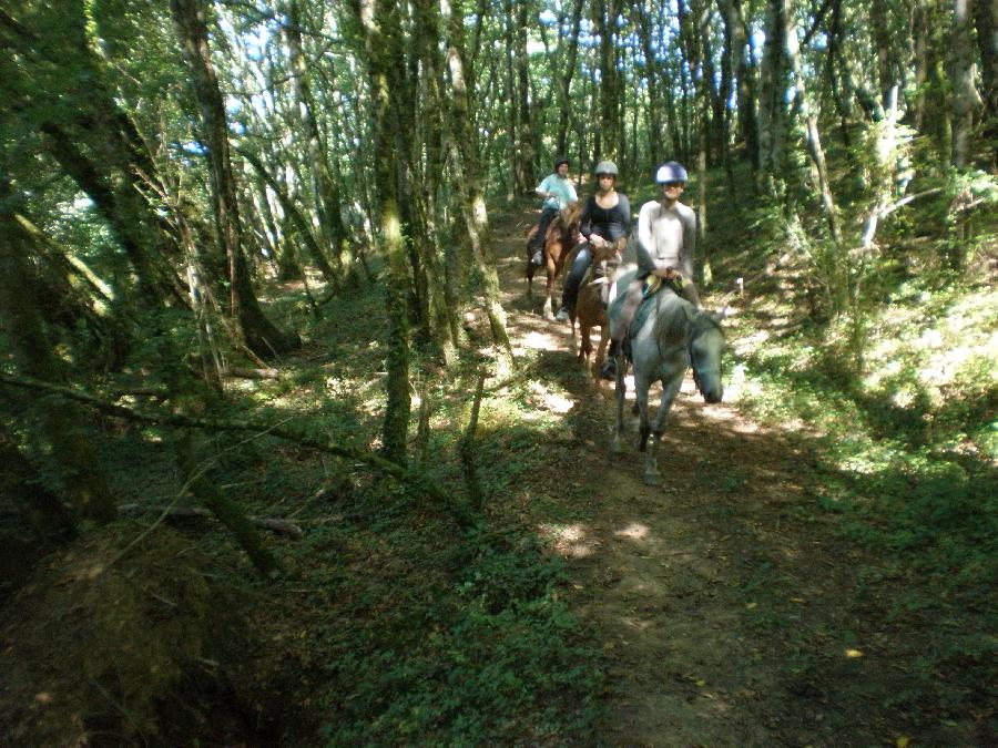 Randonne questre Haute-Vienne Limousin photo 4