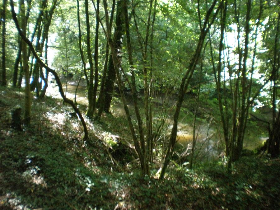 Balade  cheval Haute-Vienne Limousin photo 5