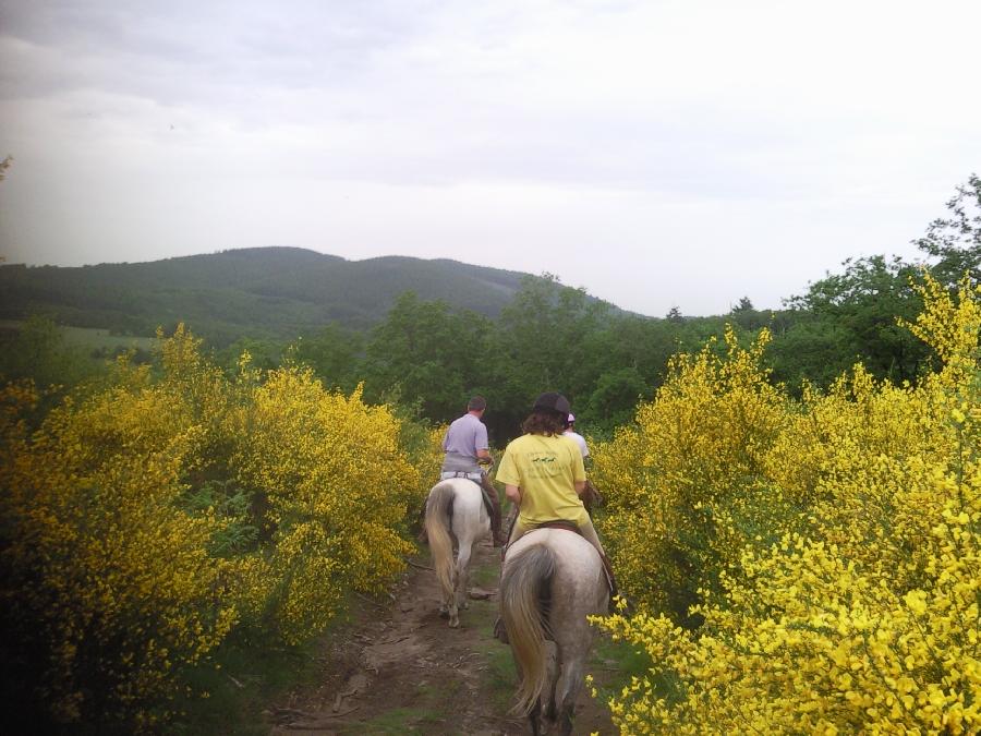 Balade  cheval Haute-Vienne Limousin