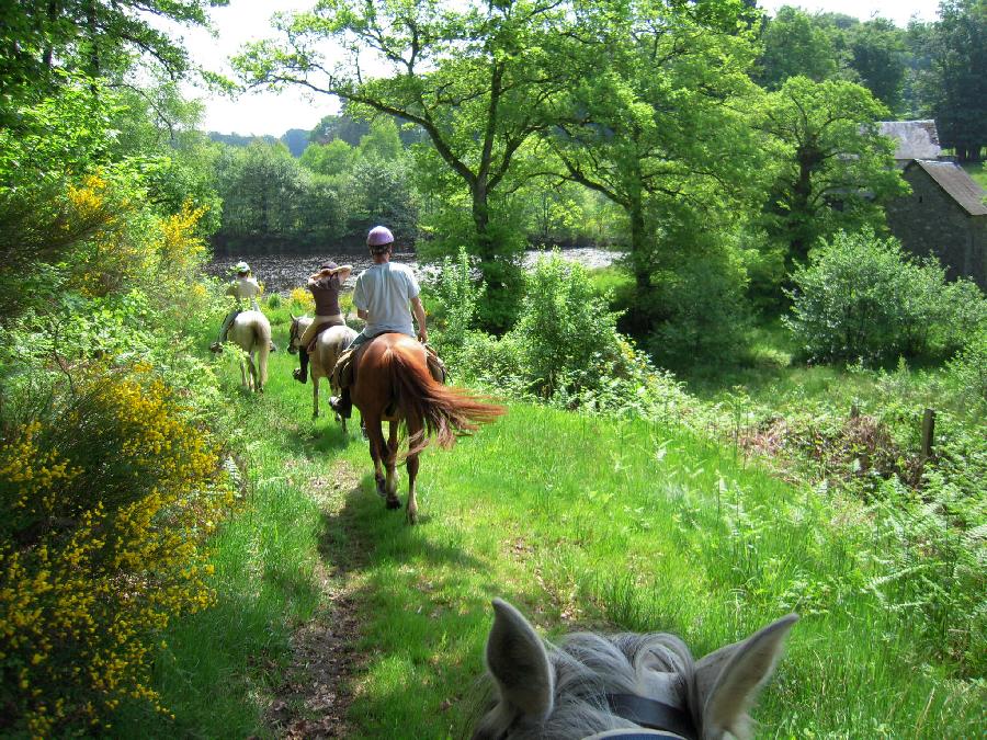 Balade  cheval Haute-Vienne Limousin photo 2