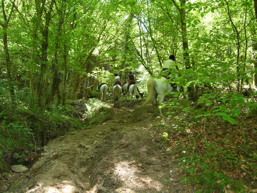 Balade  cheval Haute-Vienne Limousin photo 5