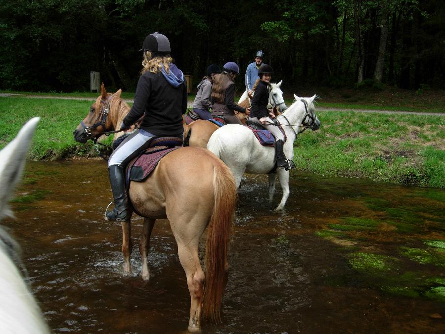 Balade  cheval Haute-Vienne Limousin photo 6