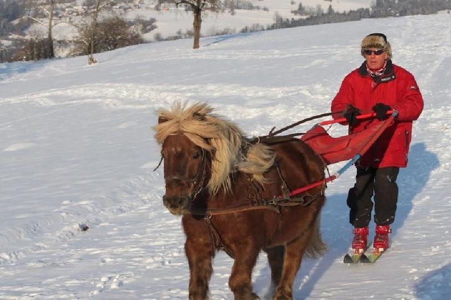 Balade  cheval Savoie PNR du Massif des Bauges photo 5