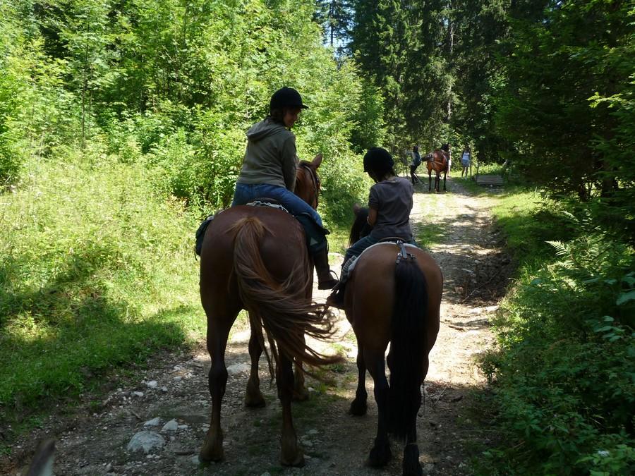 Balade  cheval Jura PNR du Haut-Jura photo 4