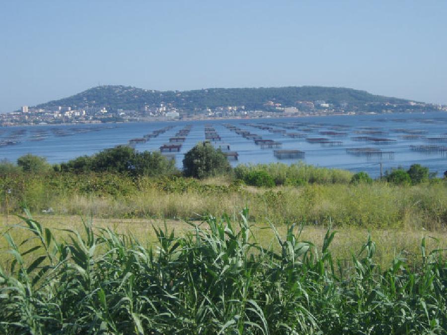 Randonne questre Hrault Languedoc photo 1