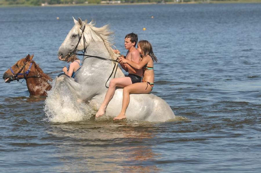 Balade  cheval Landes Cte Atlantique Landaise photo 3