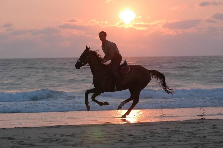 Balade à cheval au coucher du soleil à Étretat