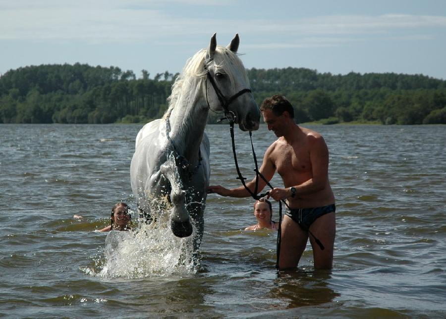 Balade  cheval Landes Cte Atlantique Landaise photo 2