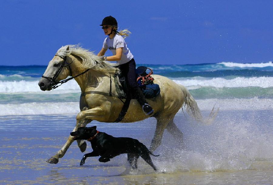 Balade  cheval Landes Cte Atlantique Landaise