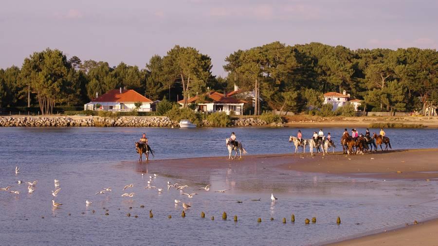 Balade  cheval Landes Cte Atlantique Landaise photo 3