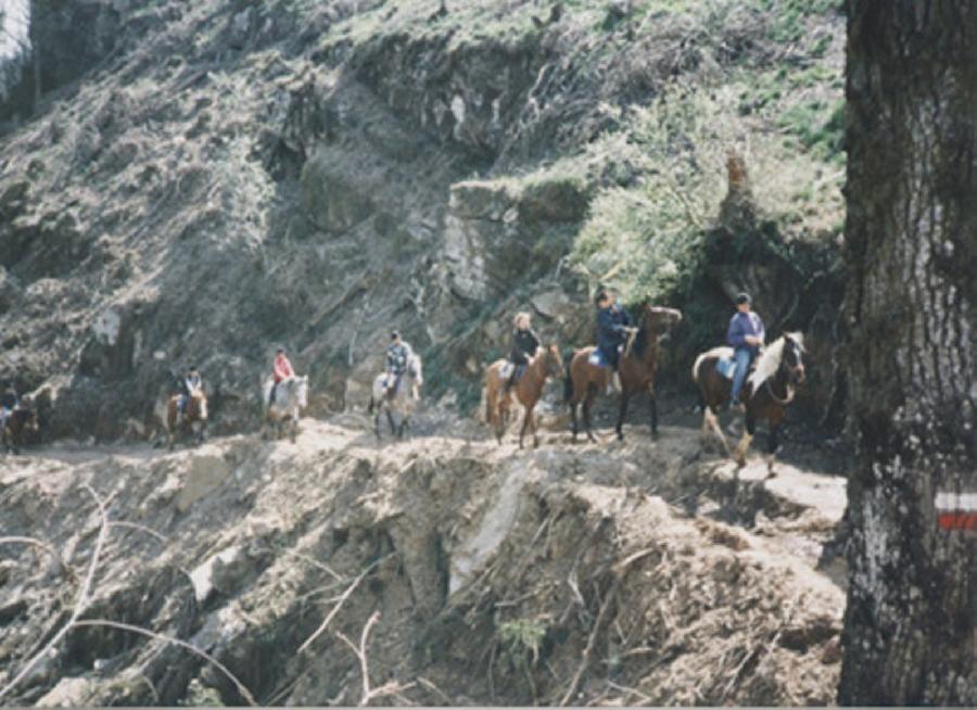 Balade  cheval Tarn PNR du Haut-Languedoc photo 3