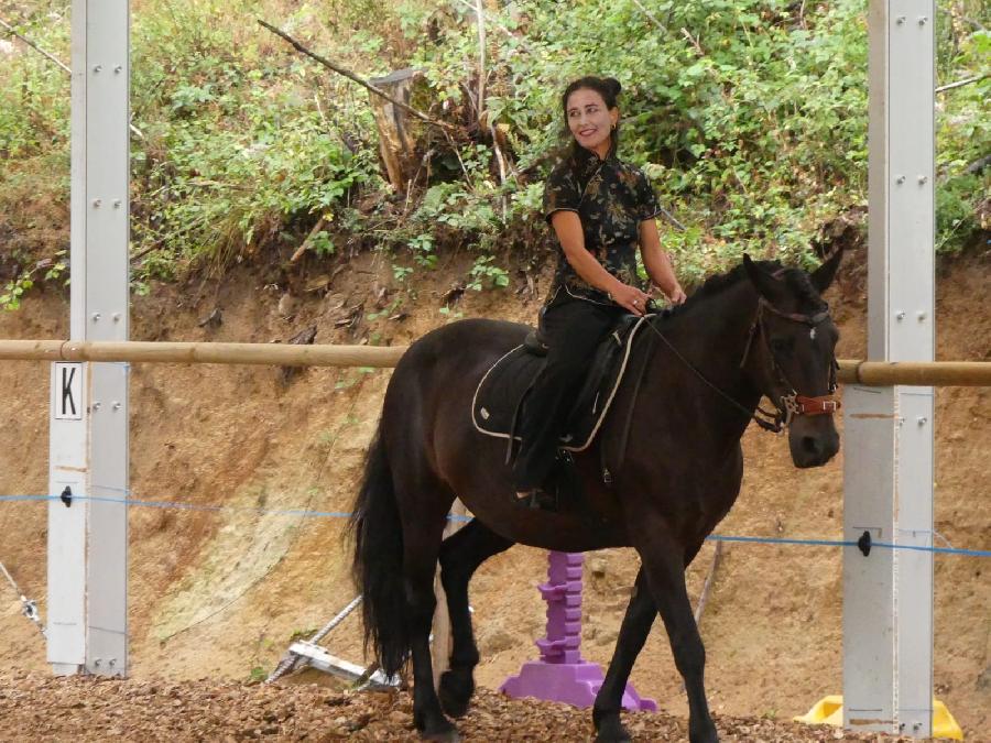 Cheval Origine constat�e � vendre Saint-Cl�ment dans l'Allier photo 4