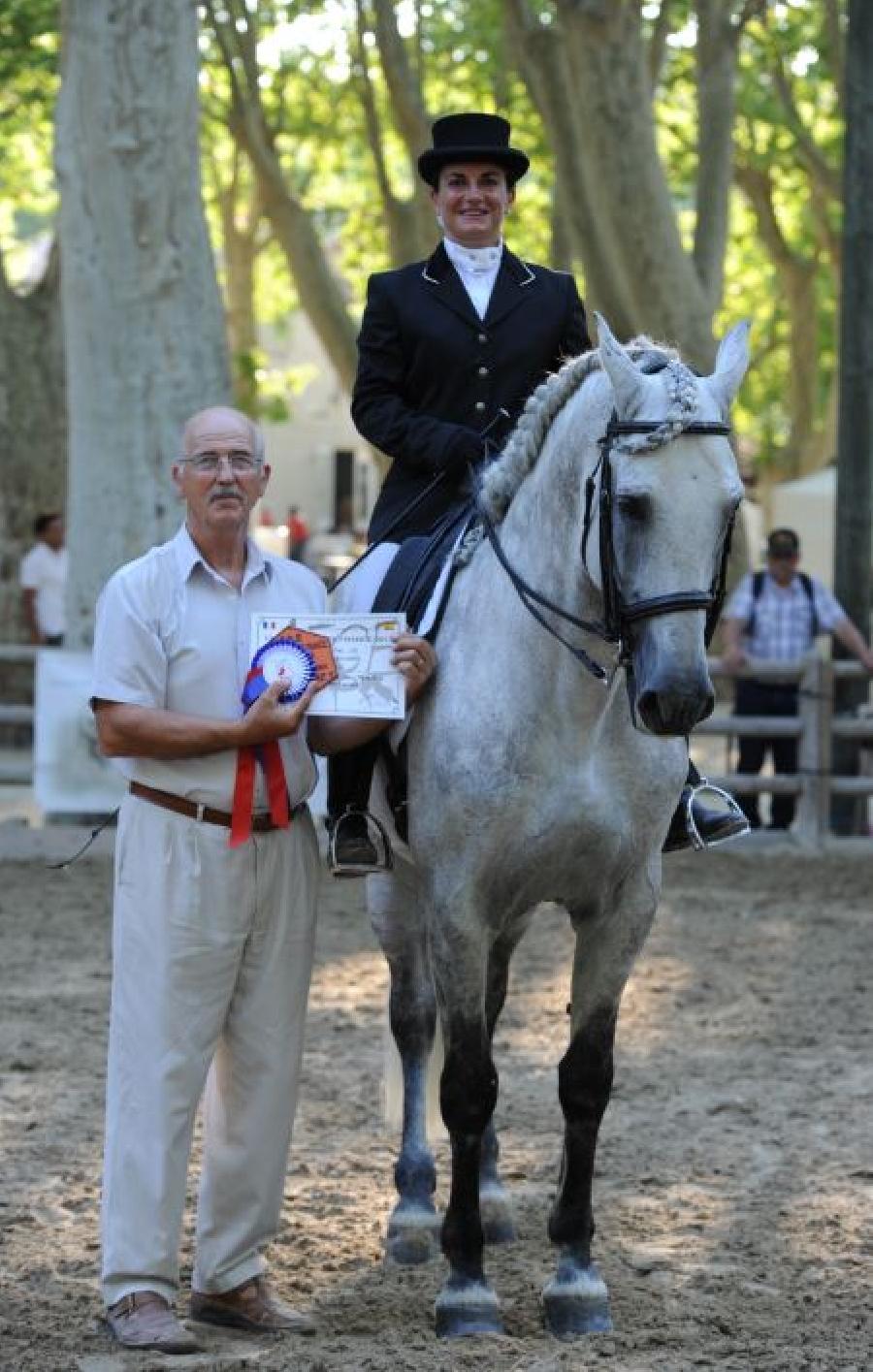 Etalon Cheval Pure race Espagnole (PRE)  Lisle-sur-Tarn dans le Tarn photo 2