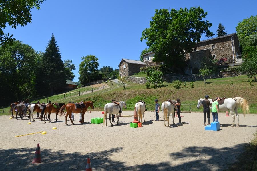 Gite equestre cheval Cambounes dans le Tarn  photo 6