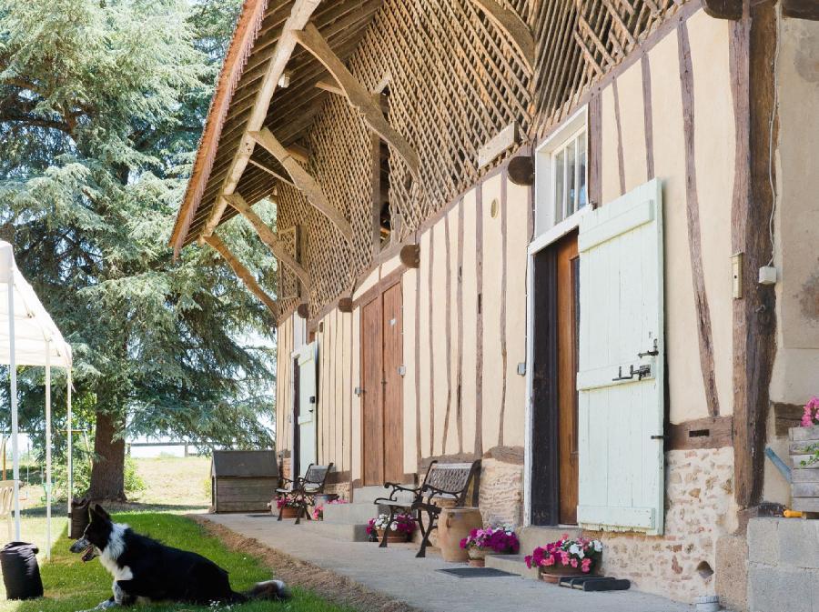Gite equestre cheval Cravencres dans le Gers  photo 2