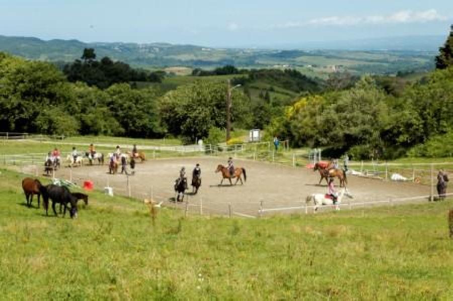 gite equestre Carcassonne-Verzeille Aude Ferme questre de Pommayrac