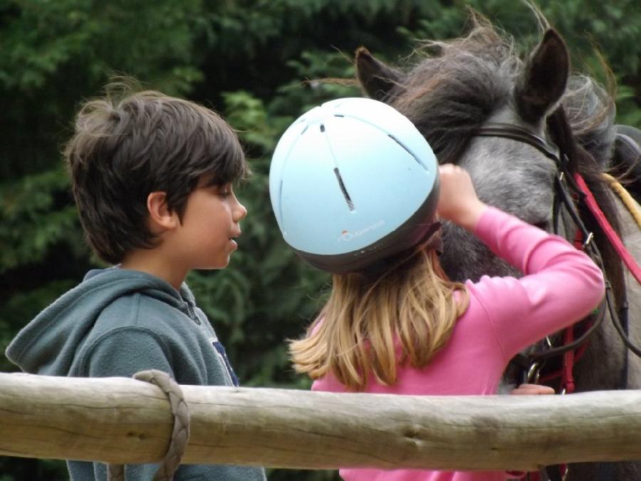 Gite equestre cheval Carcassonne-Verzeille dans l'Aude  photo 6